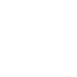 Logo Porsche Brno