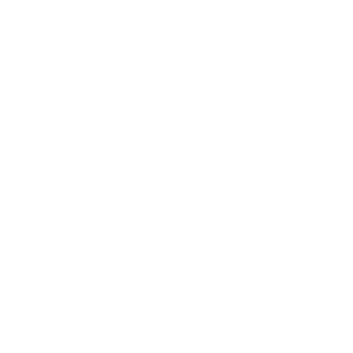 Logo Porsche Brno
